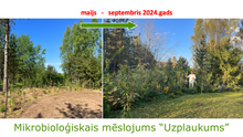 Load image into Gallery viewer, Mēslojuma "Uzplaukums" recepte