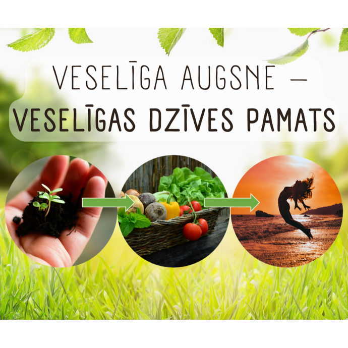 Veselīga augsne – veselīgas dzīves pamats